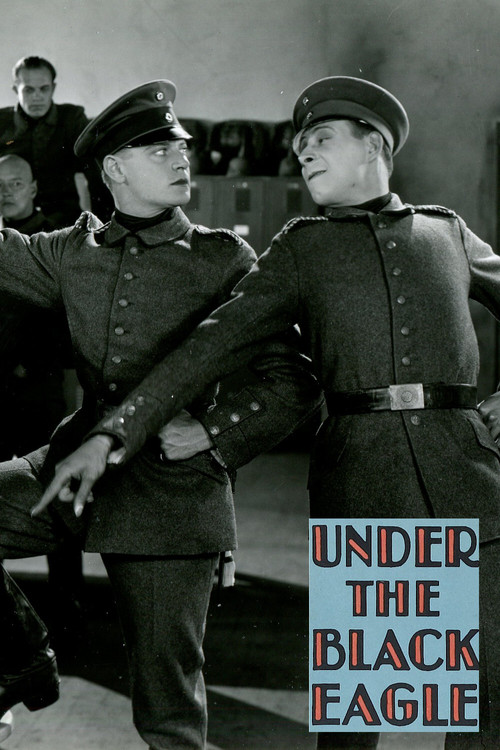 Under the Black Eagle (1928) poster
