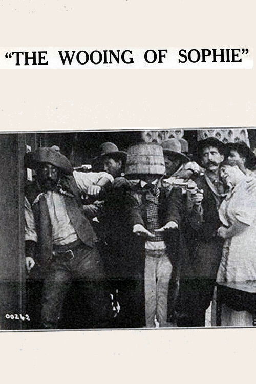 The Wooing of Sophie (1914) poster