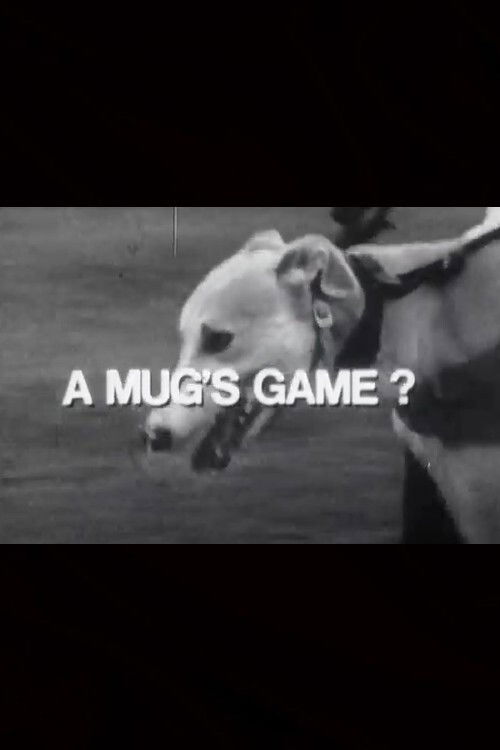 A Mug's Game? (1973) poster