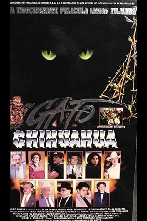 El gato de Chihuahua (1996) poster