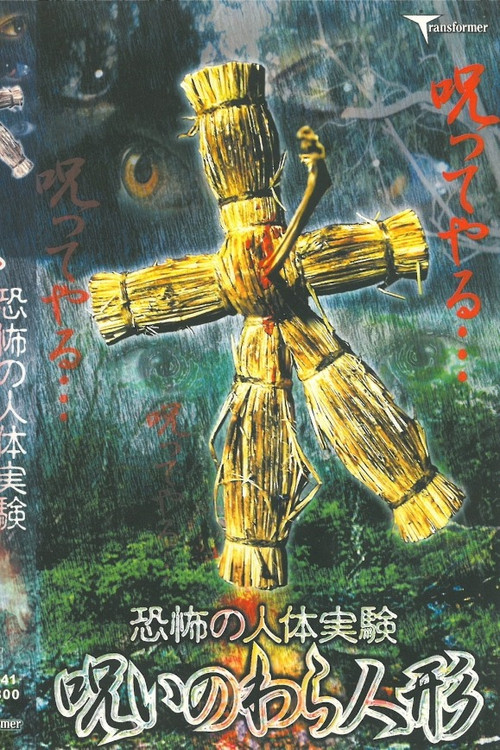 Terrifying Human Experiment: Cursed Straw Doll (2002) poster