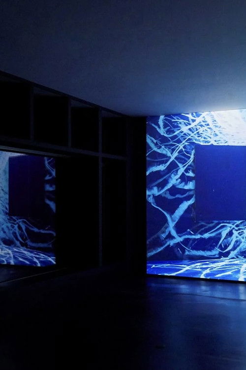 Where Light Falls (2018) poster