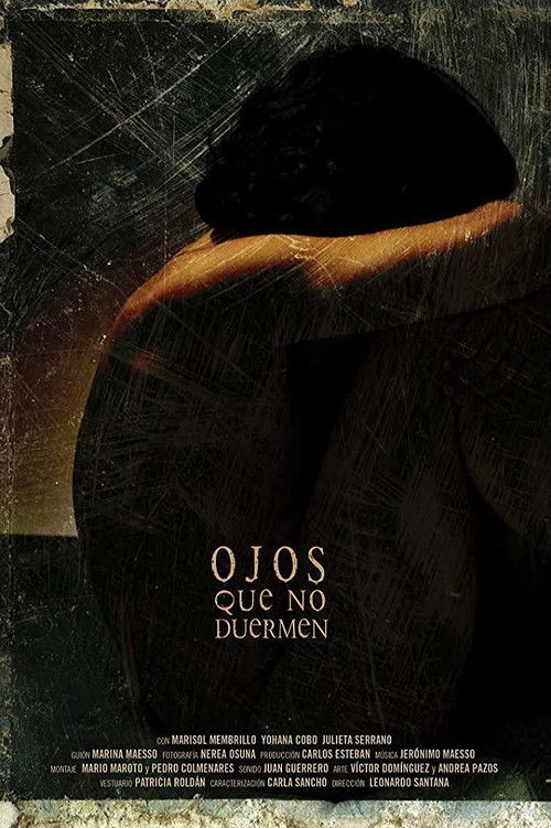 Ojos que no duermen (2012) poster