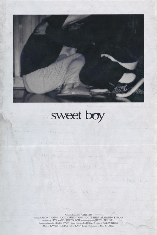 Sweet Boy (2026) poster