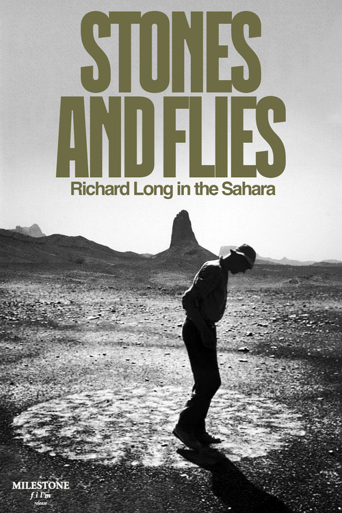 Stones and Flies: Richard Long in the Sahara (1988) poster