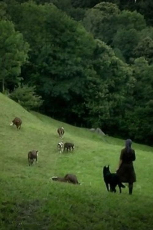 Olga e il tempo - Parte terza: Elegia della sera (2013) poster