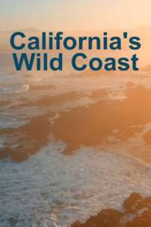 California's Wild Coast (2021) poster
