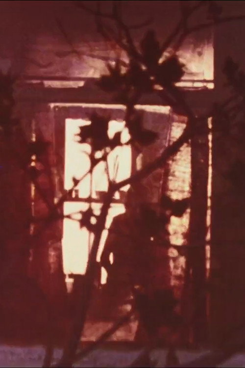 Summer Storm Passage (1965) poster