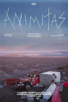 Animitas (2024) poster