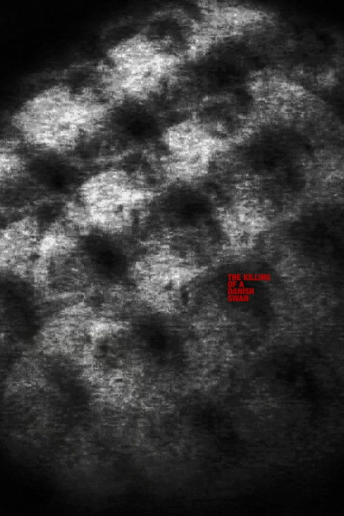 The Killing of a Danish Swan (2011) poster