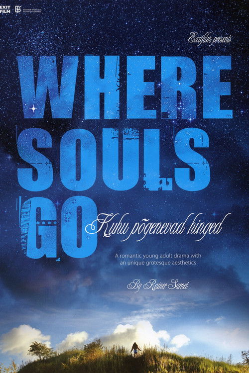 Where Souls Go (2007) poster