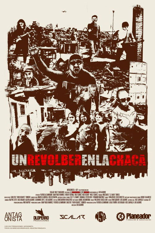 A Revolber in the Chaca (2012) poster