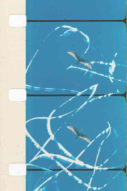 "..." Reel 3 (1998) poster