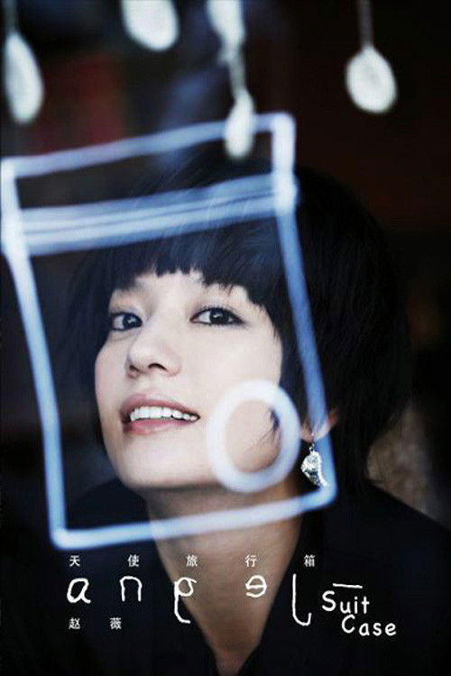Zhao Wei: Angel's Suitcase (2007) poster