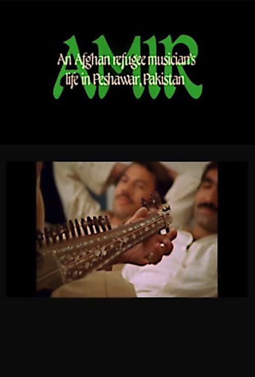 Amir: An Afghan Refugee Musician's Life in Peshawar, Pakistan (1985) poster