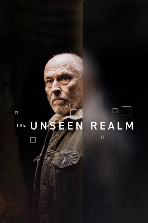 The Unseen Realm (2019) poster