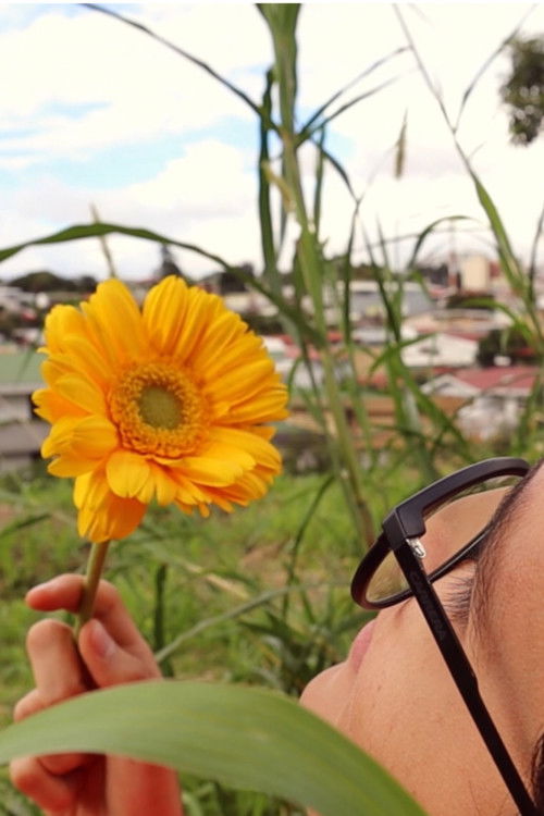 Pétalos del sol (2019) poster