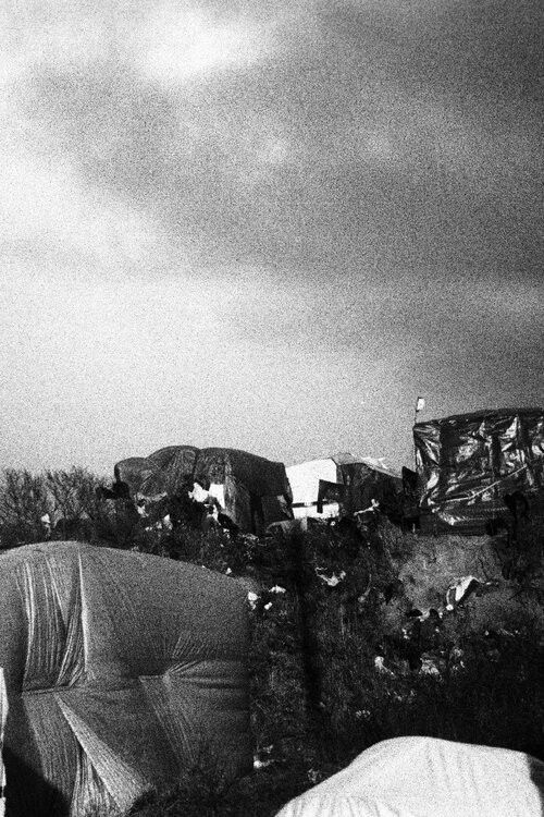 Les Corps Interdits (2016) poster