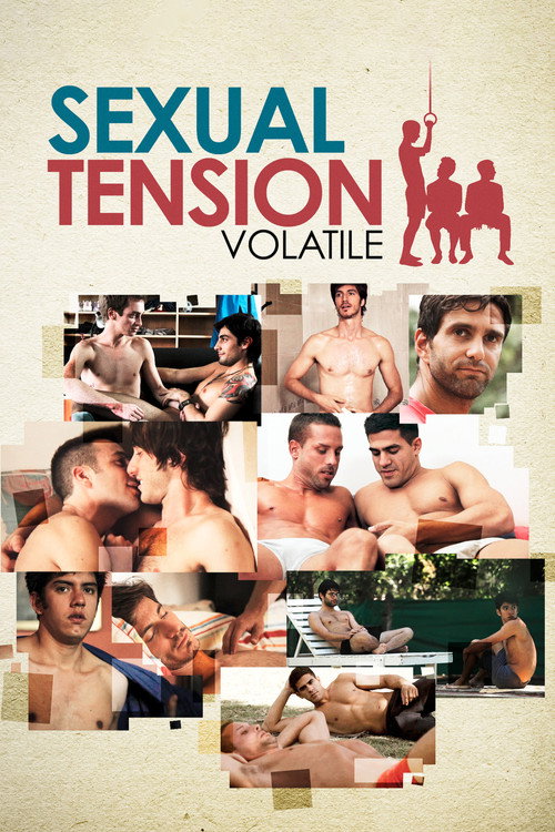 Tensión sexual, Volumen 1: Volátil (2012) poster