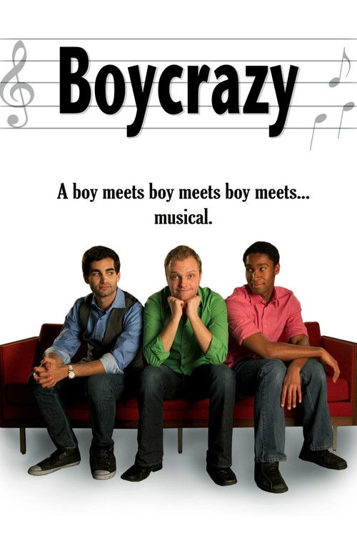 Boycrazy (2009) poster