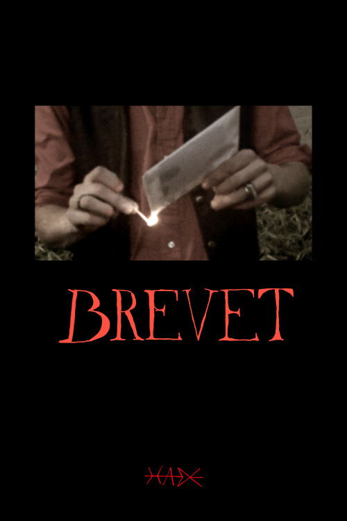 The Letter (2024) poster