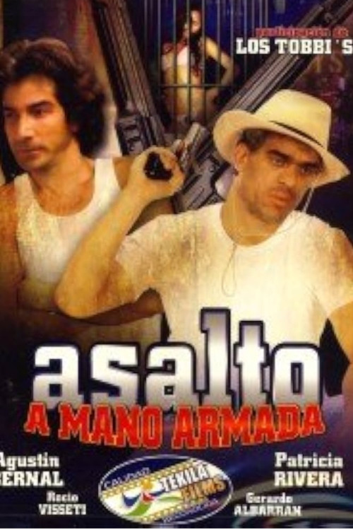 Asalto a mano armada (1996) poster