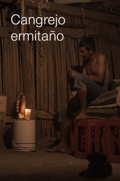 Cangrejo ermitaño (2017) poster