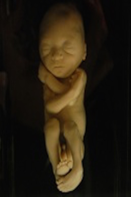 Against Filial Piety (2001) poster