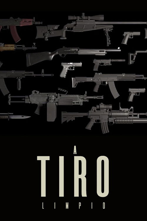 A tiro limpio (2013) poster