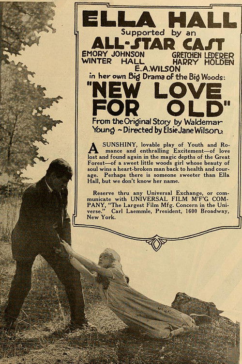 New Love for Old (1918) poster