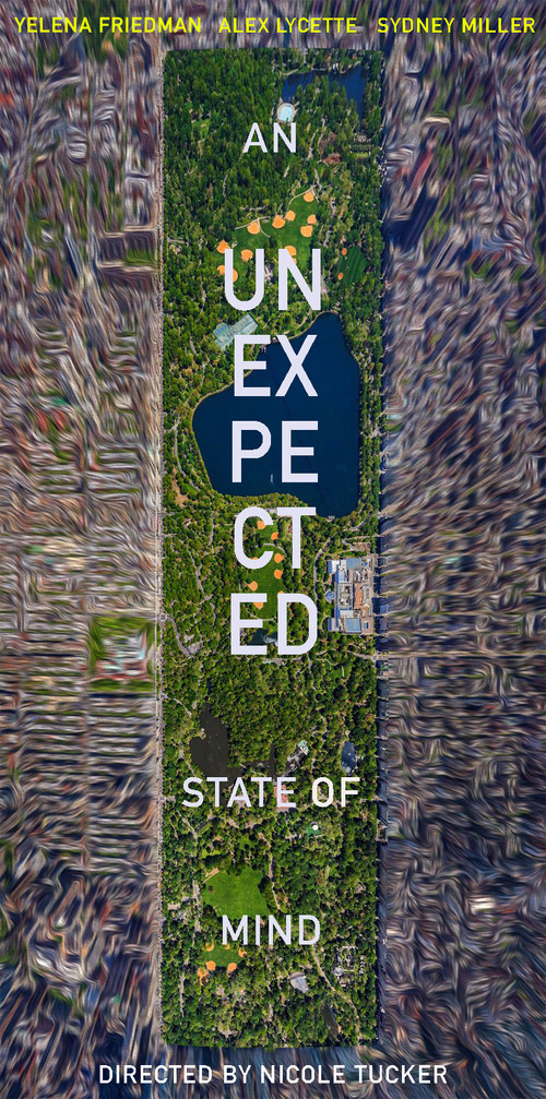An Unexpected State of Mind (2019) poster