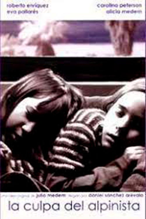La culpa del alpinista (2004) poster