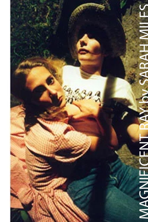 Magnificent Ray poster