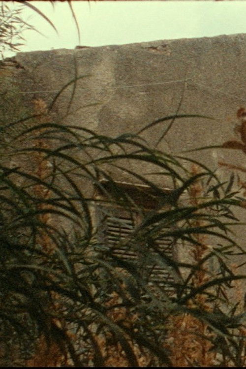 House of the Wickedest Man in the World (2023) poster