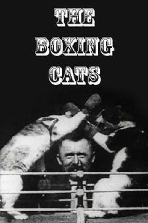 The Boxing Cats (1894) poster