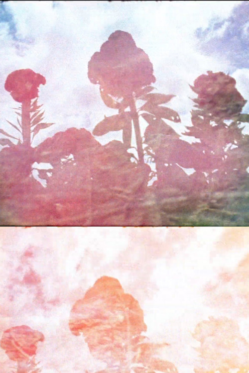 Sun Stone (2017) poster