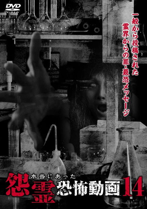 Real Vengeful Ghost Horror Video 14 (2015) poster