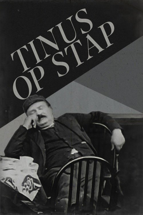 Tinus On the Move (1930) poster