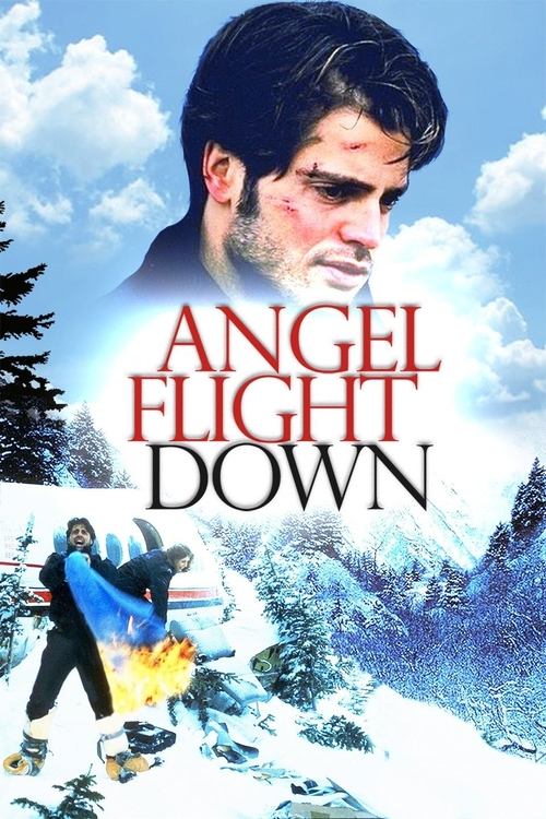 Angel Flight Down (1996) poster