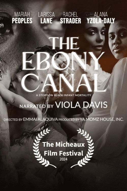 The Ebony Canal: A Story of Black Infant Mortality (2025) poster