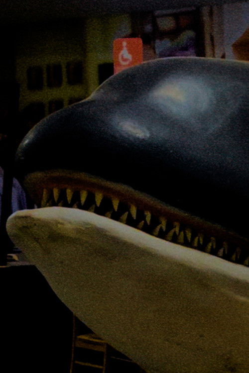 El llanto de Yubi (2025) poster