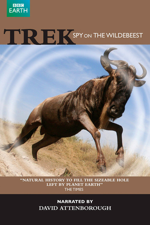 Trek - Spy on the Wildebeest (2007) poster