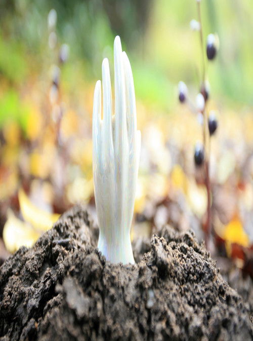 Regeneration (2009) poster