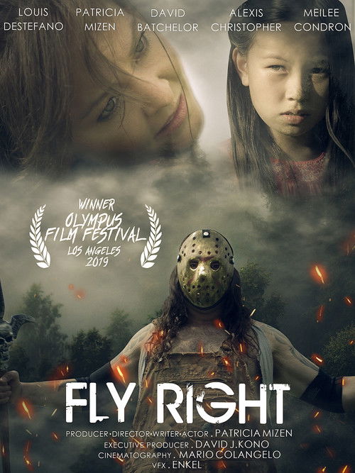 Fly Right (2018) poster