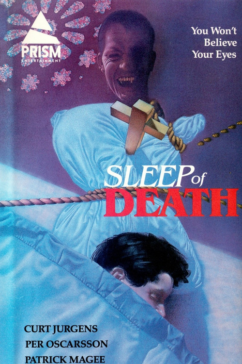 The Sleep of Death (1980) poster