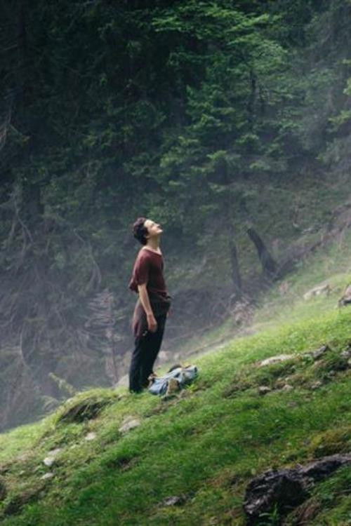 Der Wanderer (2018) poster