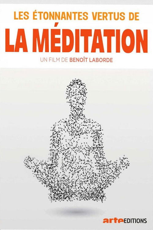 Les étonnantes vertus de la méditation (2017) poster