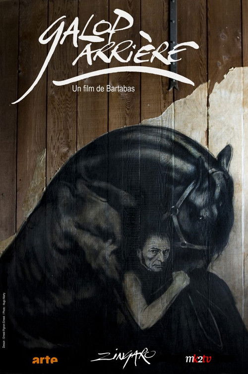 Galop Arrière (2010) poster