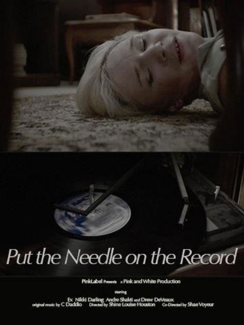 Put the Needle on the Record (2014) poster