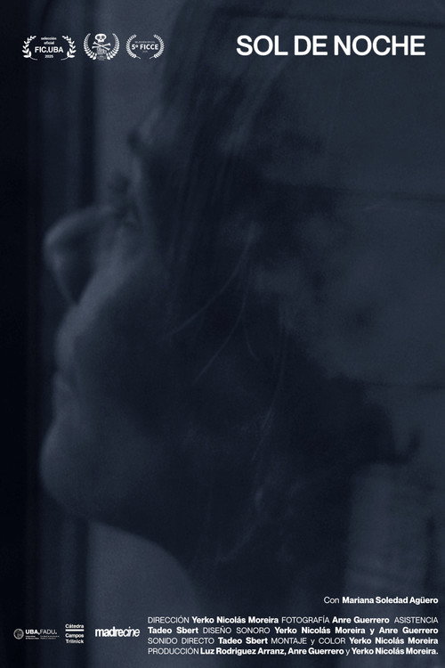 Sol de noche (2025) poster